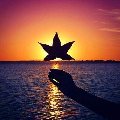 NG体育·(南宫)手机app下载