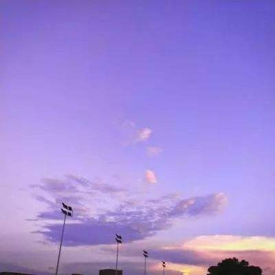 星空体育平台官网下载手机版