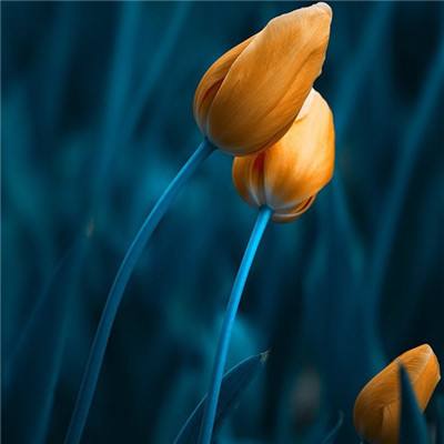 百人牛牛游戏下载手机版